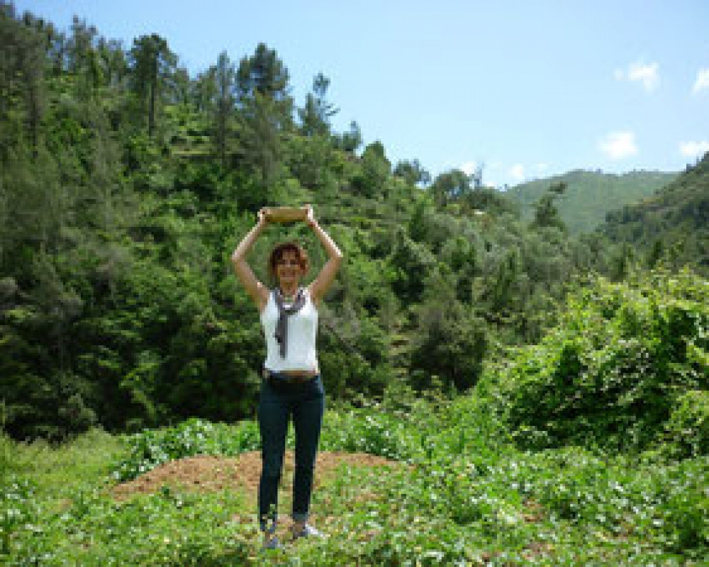 Progress II. nemzetközi képzés